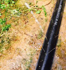 いわみとまと水やり潅水チューブ
