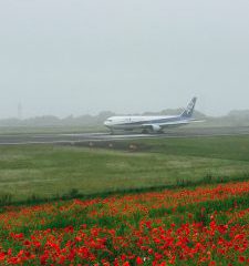 家族旅行香川