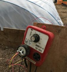 いわみとまと育苗温床温度センサー