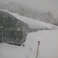 鳥取大雪ハウス