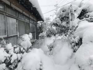 鳥取大雪2