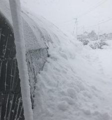 鳥取大雪ハウス2
